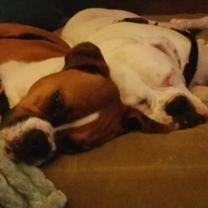 Meet your Posher, Jonathan